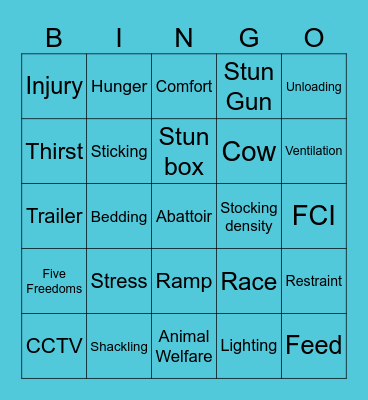 Animal Welfare Bingo Card