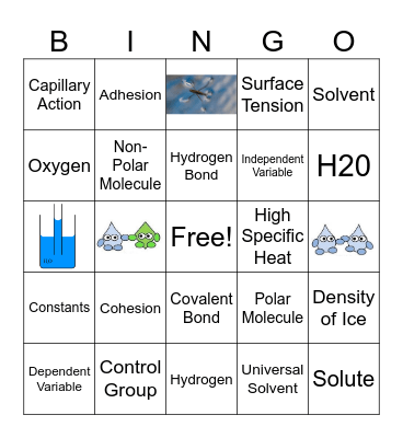 Properties of Water Bingo Card
