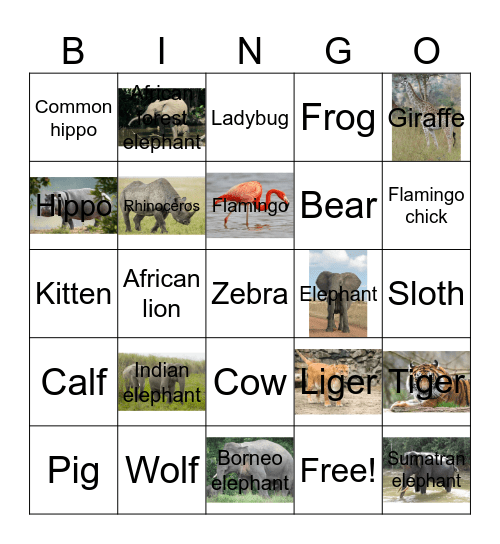 Animal Bingo Card