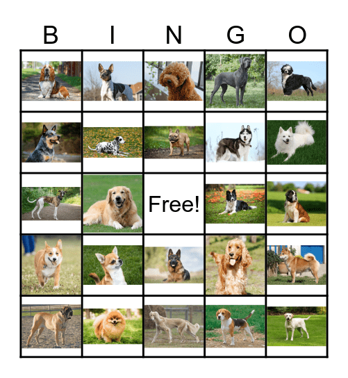 Dog Breeds Bingo Card