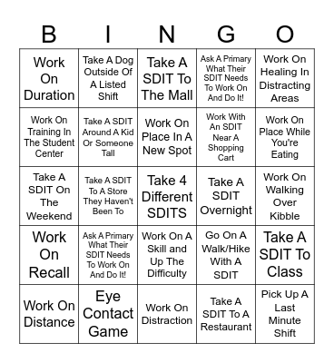 MSDC Secondary Bingo Cards Bingo Card