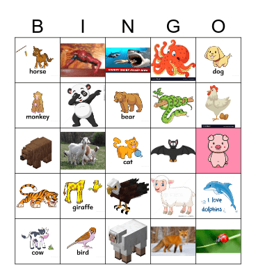 Animals Bingo Card