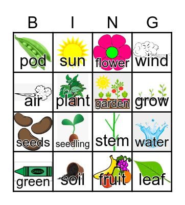 Plants Bingo Card
