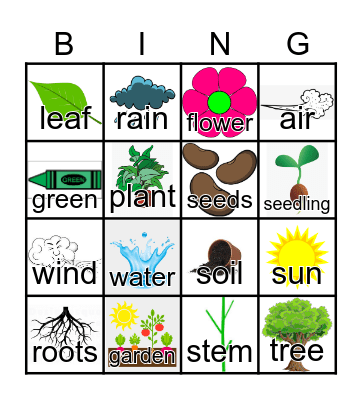 Plants Bingo Card