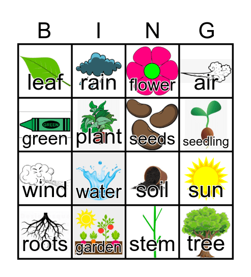 Plants Bingo Card