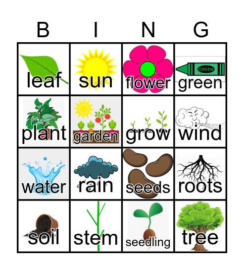 Plants Bingo Card
