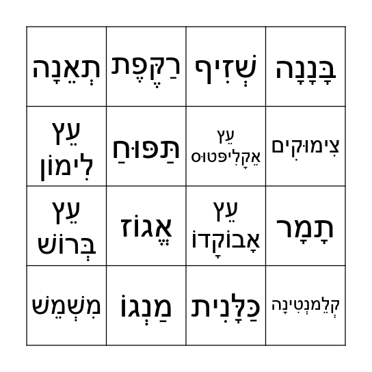 בִּינגוֹ ט"ו בִּשְבָט Bingo Card