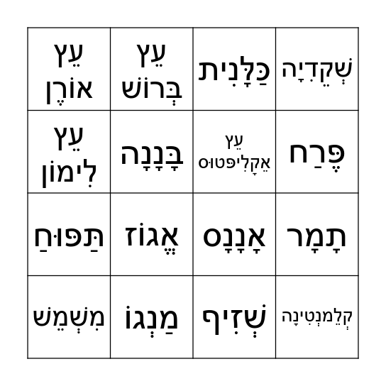 בִּינגוֹ ט"ו בִּשְבָט Bingo Card