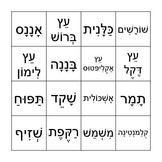 בִּינגוֹ ט"ו בִּשְבָט Bingo Card
