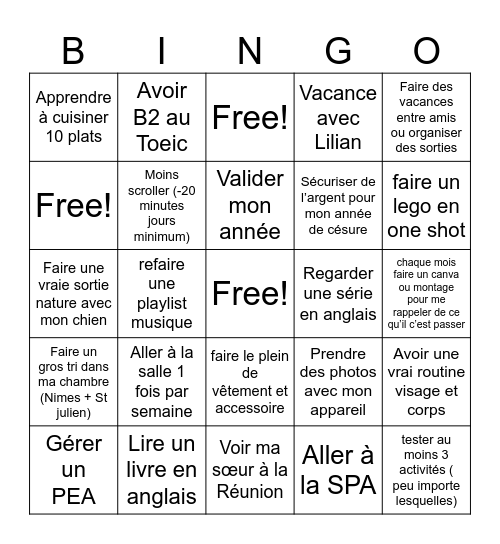 Résolution 2026 Bingo Card