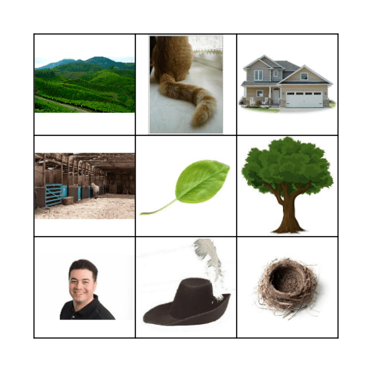 The tree on the hills Bingo Card