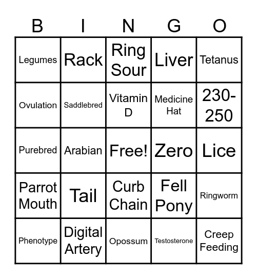 Horse Bowl Bingo! Bingo Card