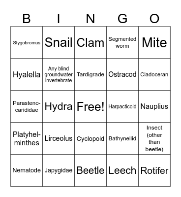 Hyporheic Bingo 2.0 (No pictures) Bingo Card