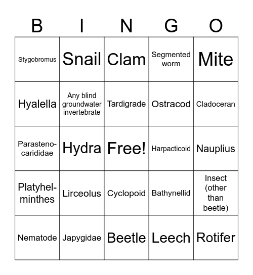 Hyporheic Bingo 2.0 (No pictures) Bingo Card