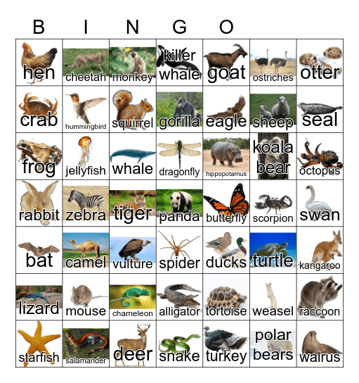 Animals Bingo Card