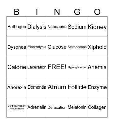Medical Terminology Bingo Card