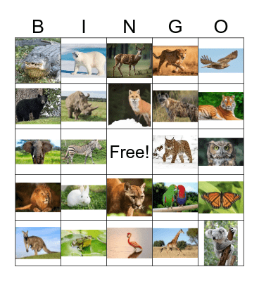 Wild Animals Bingo Card