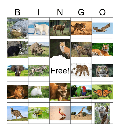 Wild Animals Bingo Card