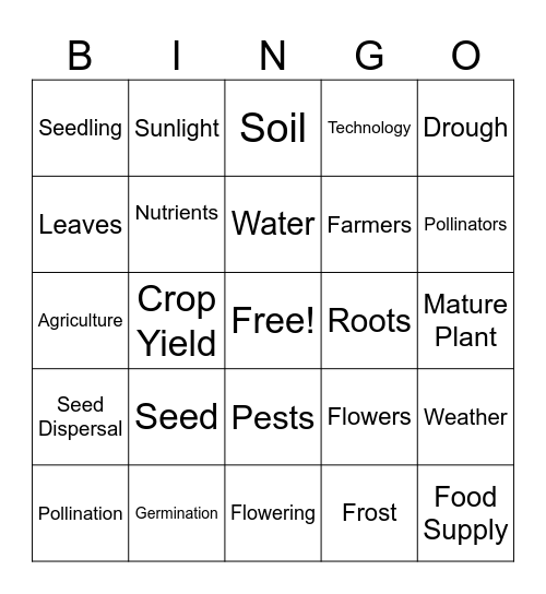 Life Cycle of a Plant Bingo Card