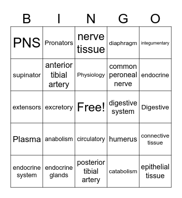 Nail Anatomy & Physiology Bingo Card