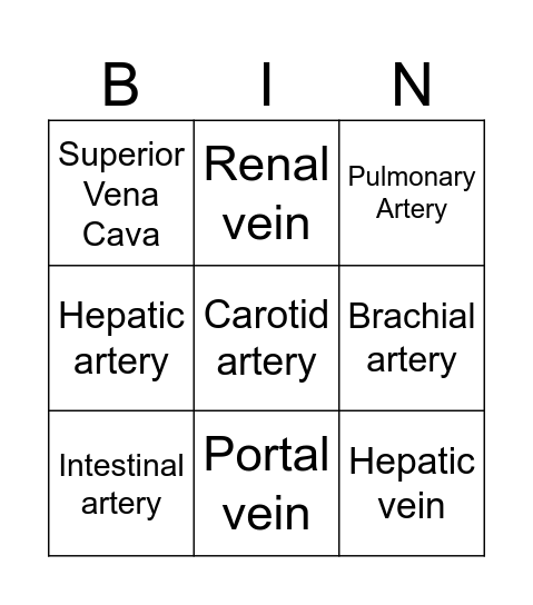 Blood vessels Bingo Card
