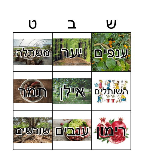 טו בשבט Bingo Card
