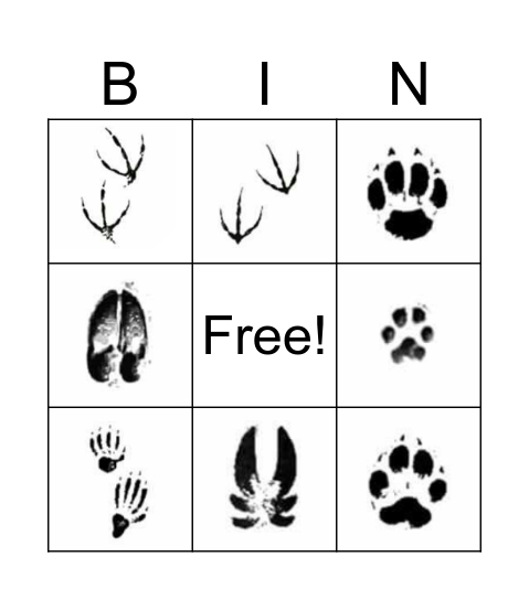 Fotspår Bingo Card