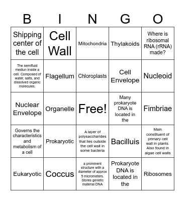 Cell Structure and Function Bingo Card