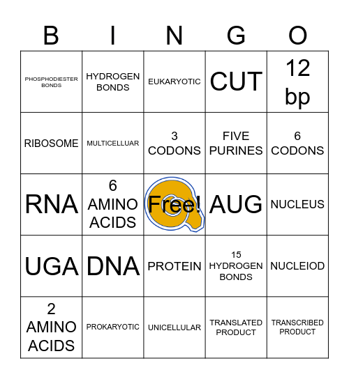 Genetics E1 Bingo Card