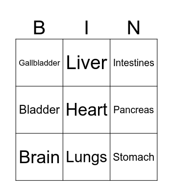 Internal organs Bingo Card