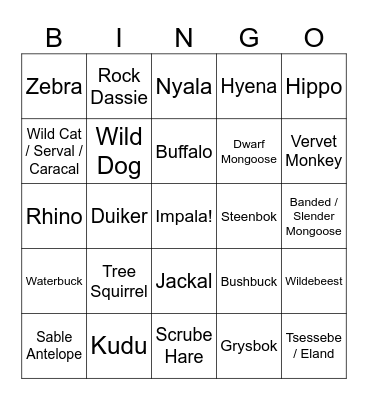 Kruger Bingo Card