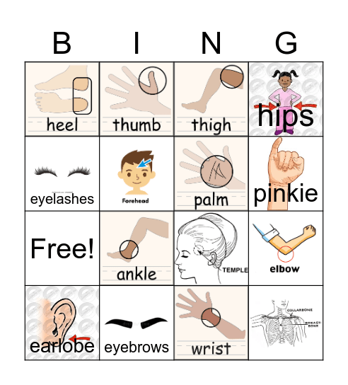 More Body Parts Bingo Card