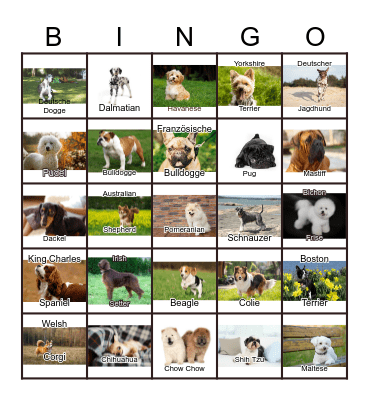 Dogs Bingo Card