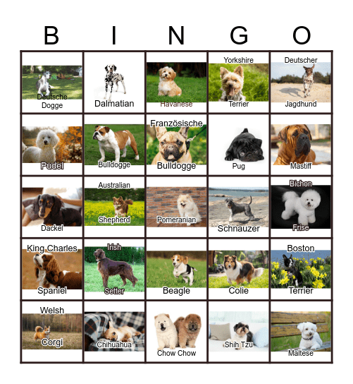 Dogs Bingo Card