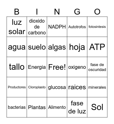 Fotosintesis Bingo Card