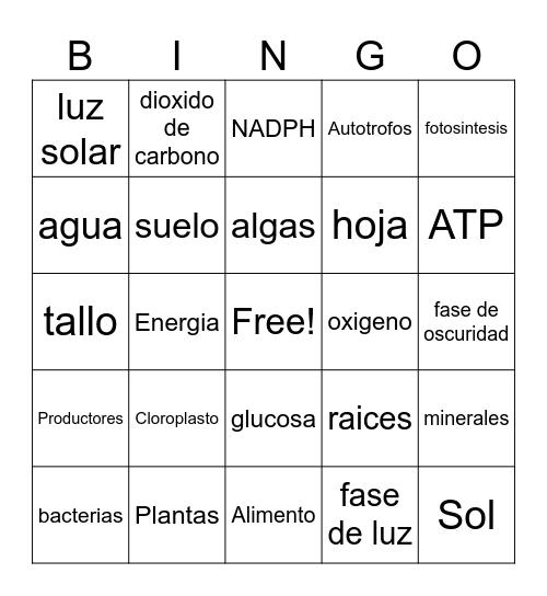Fotosintesis Bingo Card