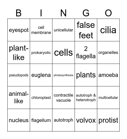 Protist Bingo Card