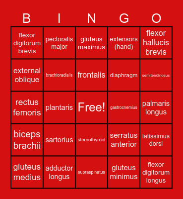 Muscle Action Bingo Card