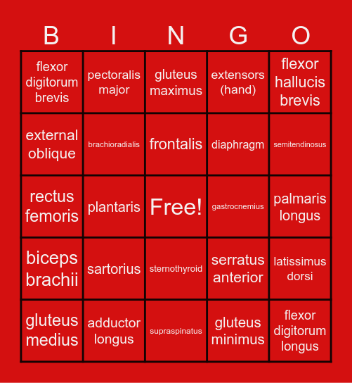 Muscle Action Bingo Card