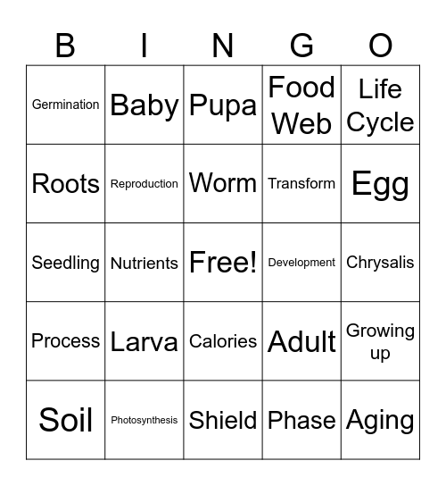 The Life Cycle Bingo Card