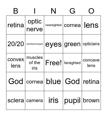 Light and the Human Eye Bingo Card