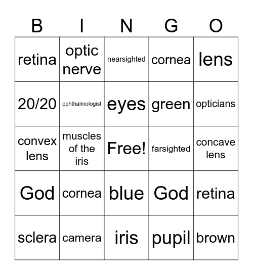 Light and the Human Eye Bingo Card