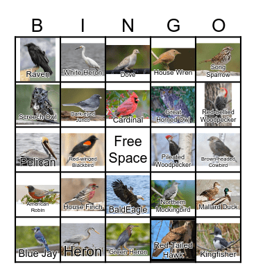 BIRDS Bingo Card