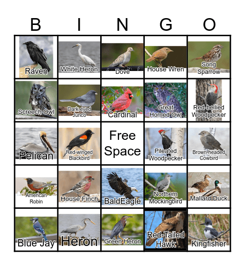 BIRDS Bingo Card
