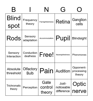 1.6 - Sensation Bingo Card