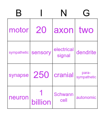 Nervous System Bingo Card