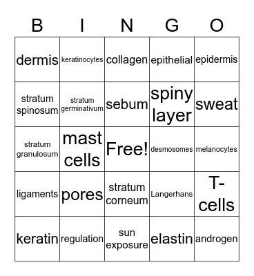 Skin Physiology Bingo Card