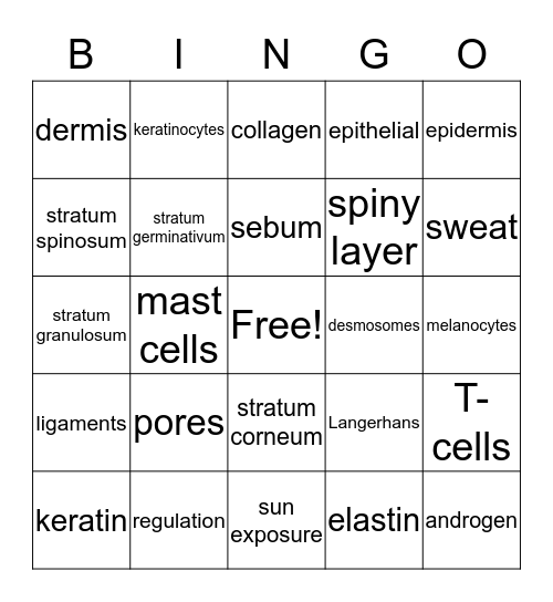 Skin Physiology Bingo Card