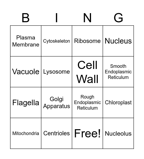 Cell Organelles Bingo Card