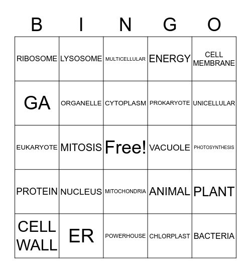 CELL BIOOLOGY Bingo Card